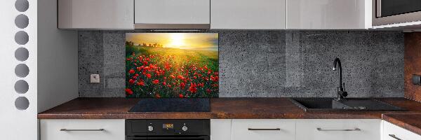 Spatscherm keuken Klaprozenveld