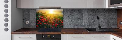 Spatscherm keuken Klaprozenveld