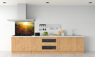Spatscherm keuken Klaprozenveld