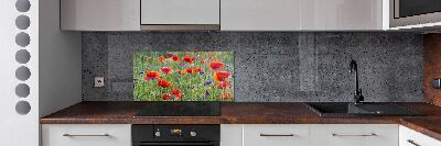 Glazen achterwand keuken Wilde bloemen