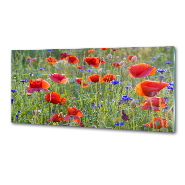 Glazen achterwand keuken Wilde bloemen