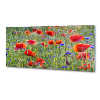 Glazen achterwand keuken Wilde bloemen