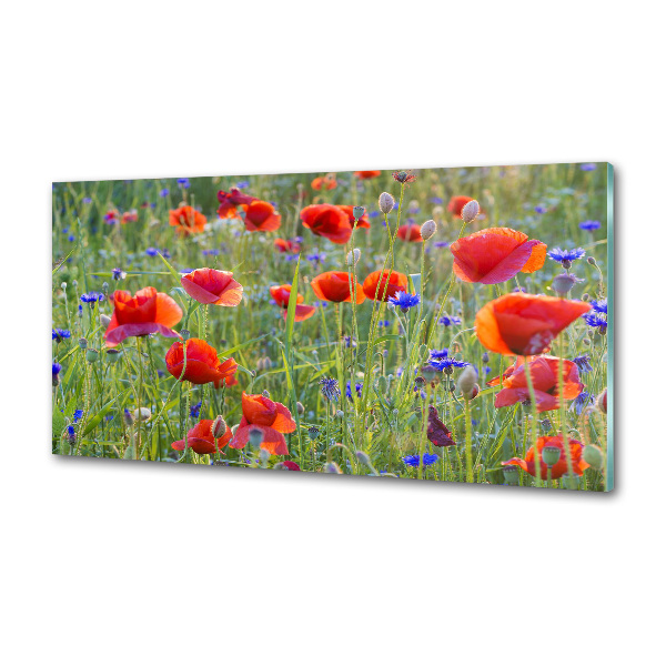 Glazen achterwand keuken Wilde bloemen