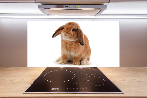 Spatscherm keuken Rode konijn