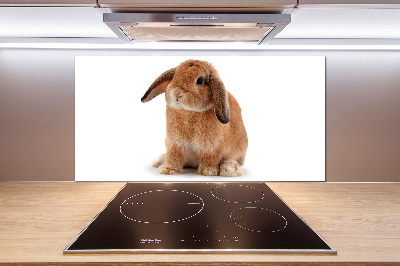 Spatscherm keuken Rode konijn