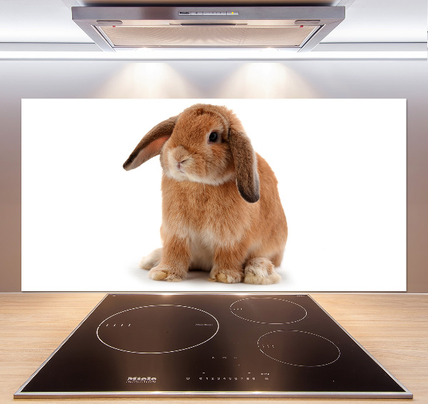 Spatscherm keuken Rode konijn