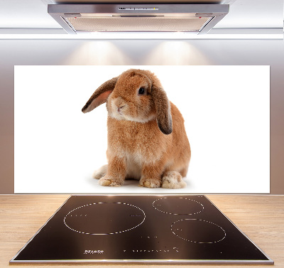 Spatscherm keuken Rode konijn