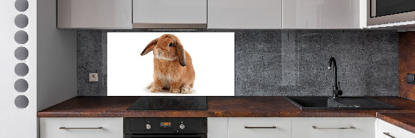 Spatscherm keuken Rode konijn