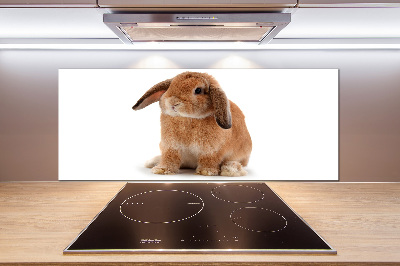 Spatscherm keuken Rode konijn