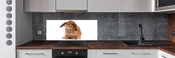 Spatscherm keuken Rode konijn