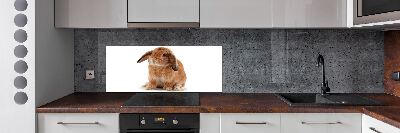 Spatscherm keuken Rode konijn