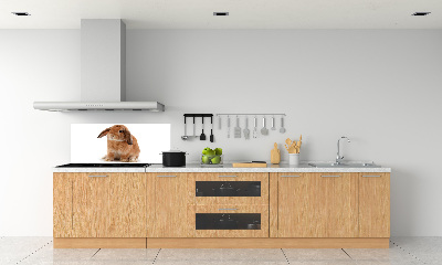 Spatscherm keuken Rode konijn