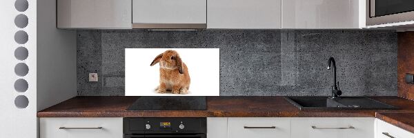 Spatscherm keuken Rode konijn