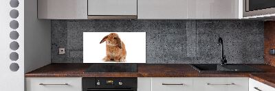 Spatscherm keuken Rode konijn