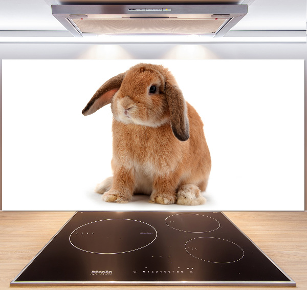 Spatscherm keuken Rode konijn