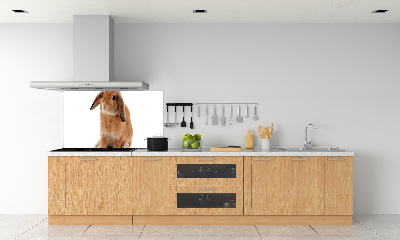 Spatscherm keuken Rode konijn