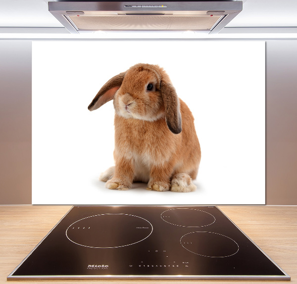 Spatscherm keuken Rode konijn