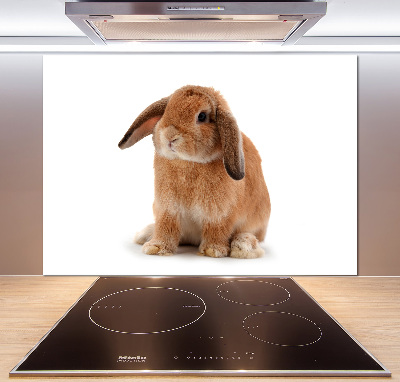 Spatscherm keuken Rode konijn