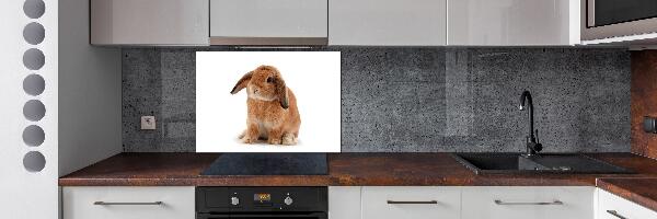 Spatscherm keuken Rode konijn