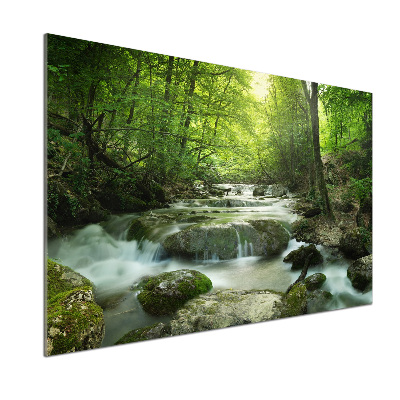 Glazen achterwand keuken Waterval in het bos