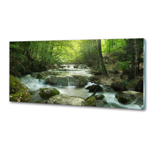 Panel do kuchni Wodospad w lesie