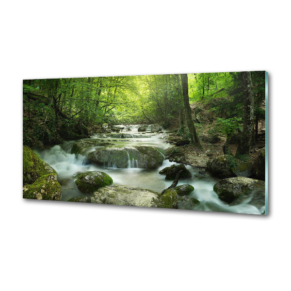Glazen achterwand keuken Waterval in het bos