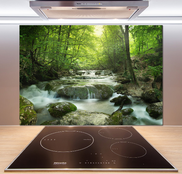 Glazen achterwand keuken Waterval in het bos