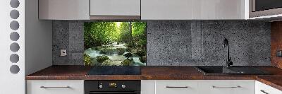 Glazen achterwand keuken Waterval in het bos