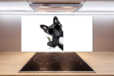 Spatplaat keuken Martini Dog
