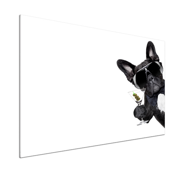 Spatplaat keuken Martini Dog