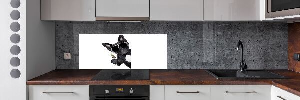 Spatplaat keuken Martini Dog