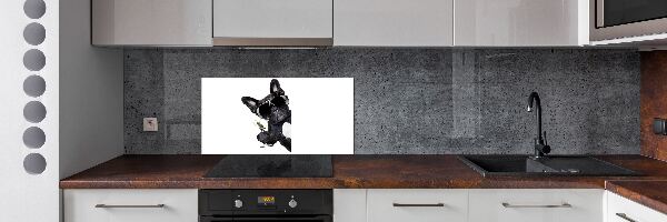 Spatplaat keuken Martini Dog