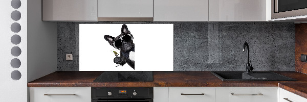 Spatplaat keuken Martini Dog