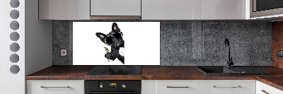 Spatplaat keuken Martini Dog