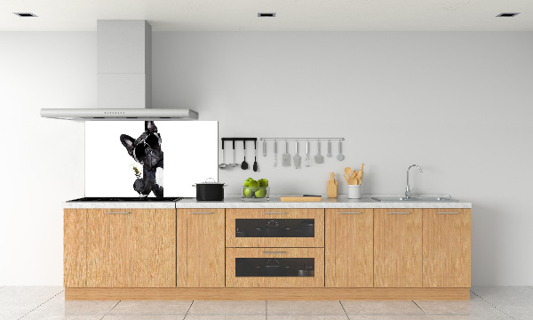 Spatplaat keuken Martini Dog