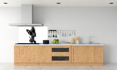 Spatplaat keuken Martini Dog