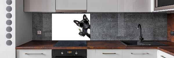 Spatplaat keuken Martini Dog