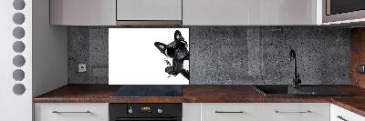 Spatplaat keuken Martini Dog