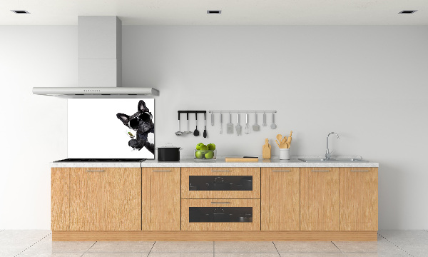 Spatplaat keuken Martini Dog