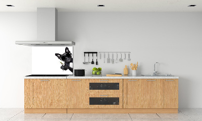Spatplaat keuken Martini Dog