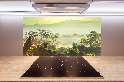 Spatplaat keuken jungle