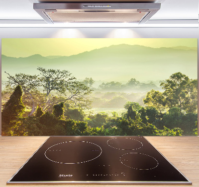 Spatplaat keuken jungle