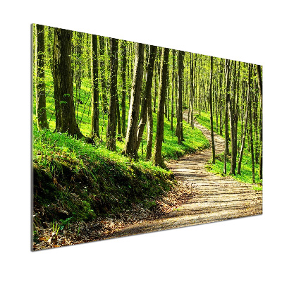 Keuken achterwand Pad in het bos