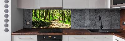 Keuken achterwand Pad in het bos