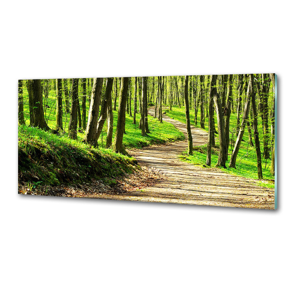 Keuken achterwand Pad in het bos