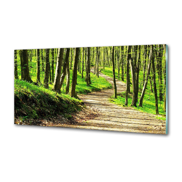 Keuken achterwand Pad in het bos