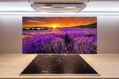 Glazen achterwand keuken Lavendelveld
