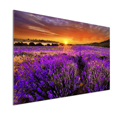 Glazen achterwand keuken Lavendelveld