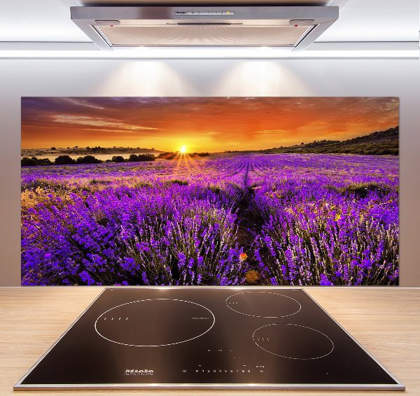 Glazen achterwand keuken Lavendelveld