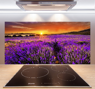 Glazen achterwand keuken Lavendelveld